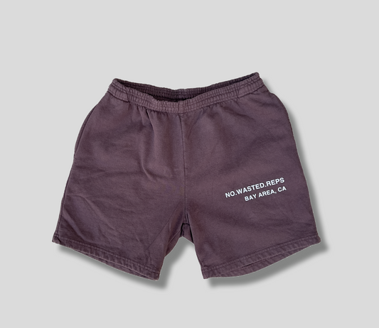 Bay Area Heavy Fleece Mid Shorts in Chocolate